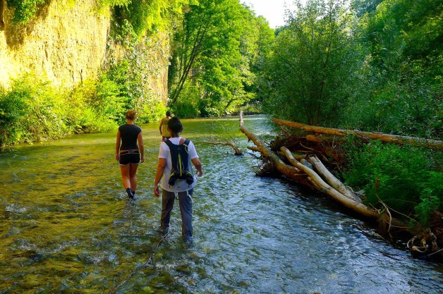 River Trekking