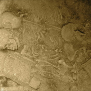Fossili