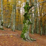 Trekking d’Autunno