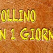 Pollino in 1 giorno