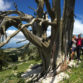 Escursioni nel Pollino