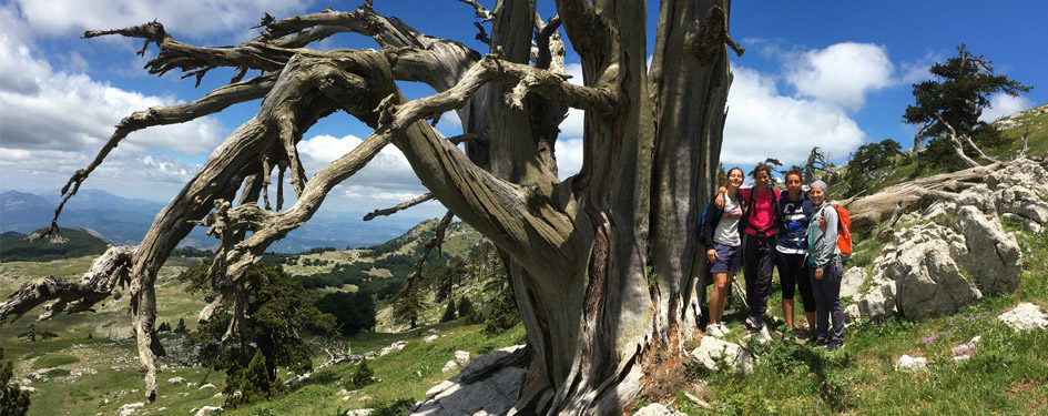 Escursioni nel Pollino