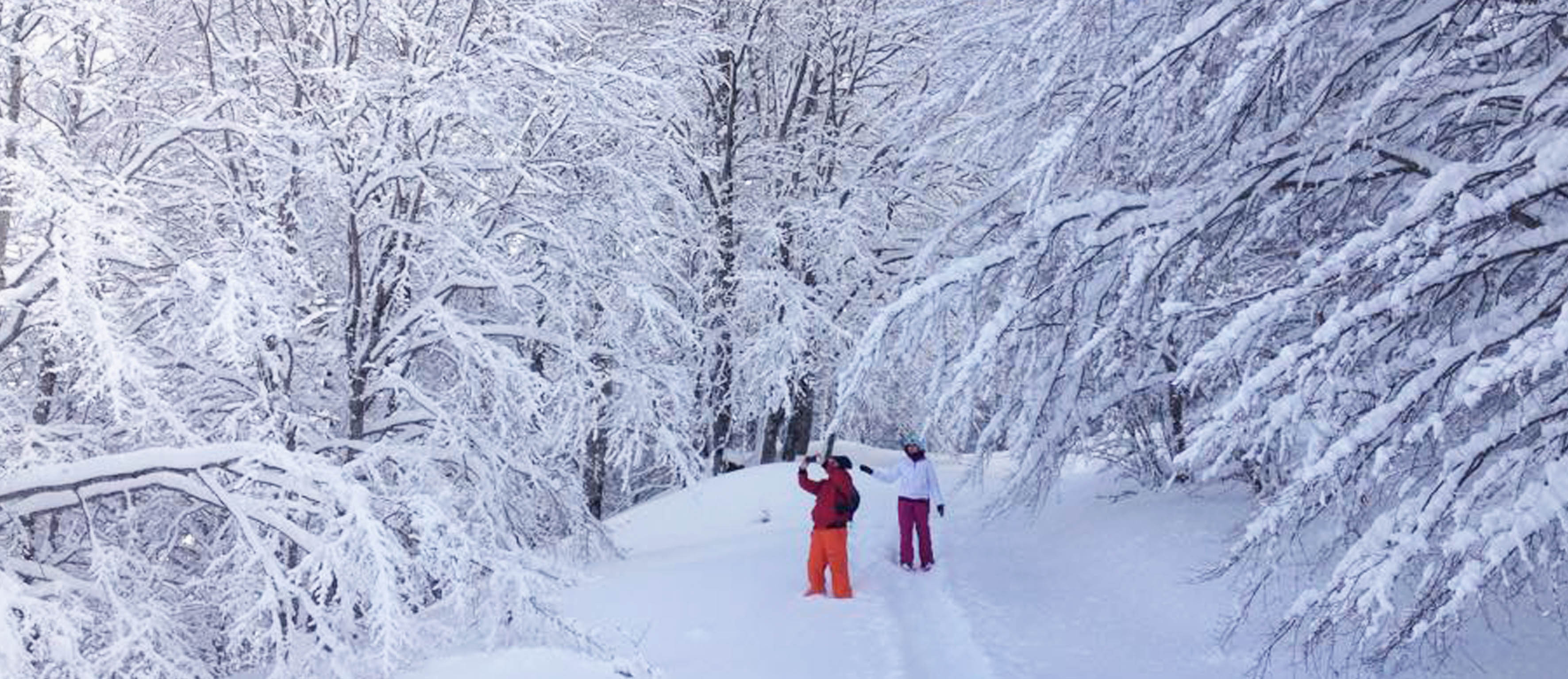 Escursioni sulla Neve