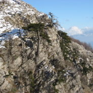 Piano Ruggio e il Belvedere del Malvento