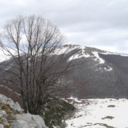 Escursioni invernali senza neve