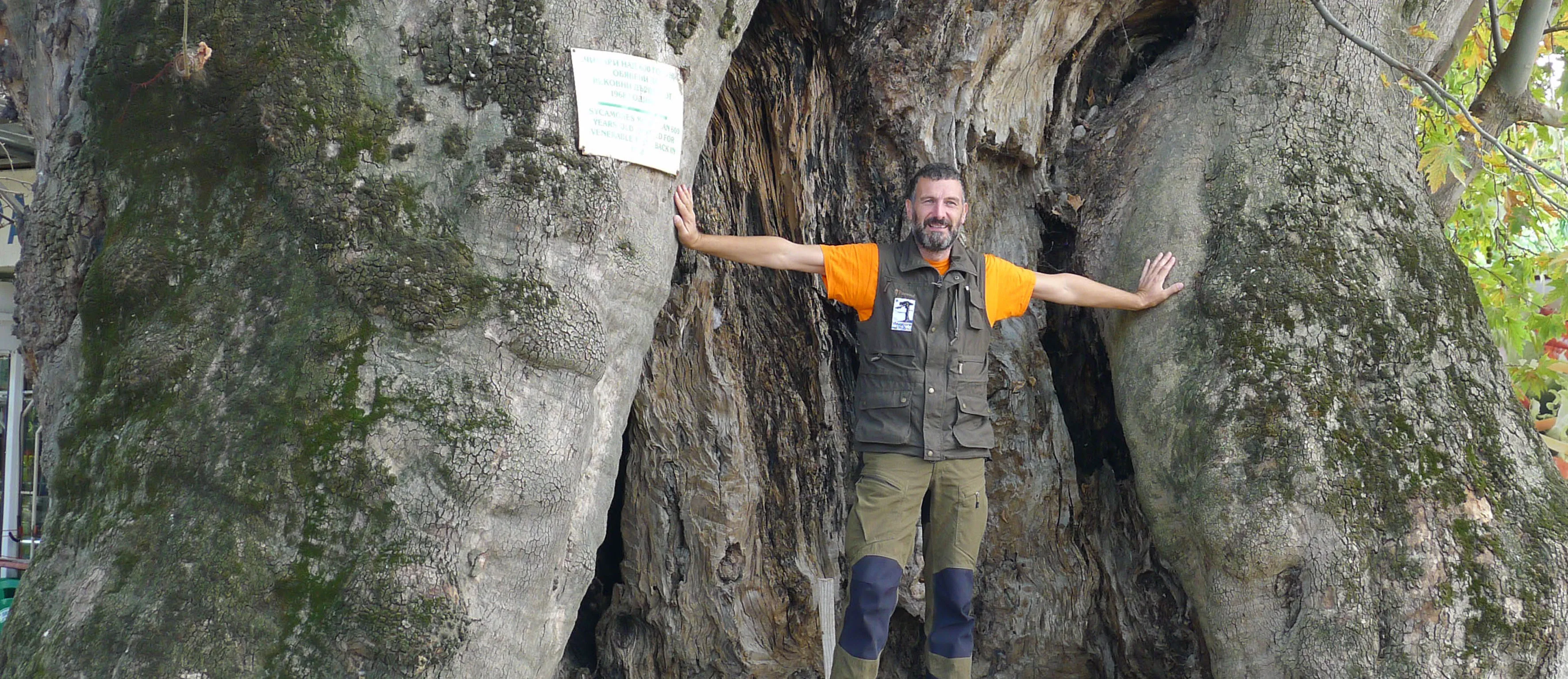 Guida Escursionistica Giuseppe Cosenza