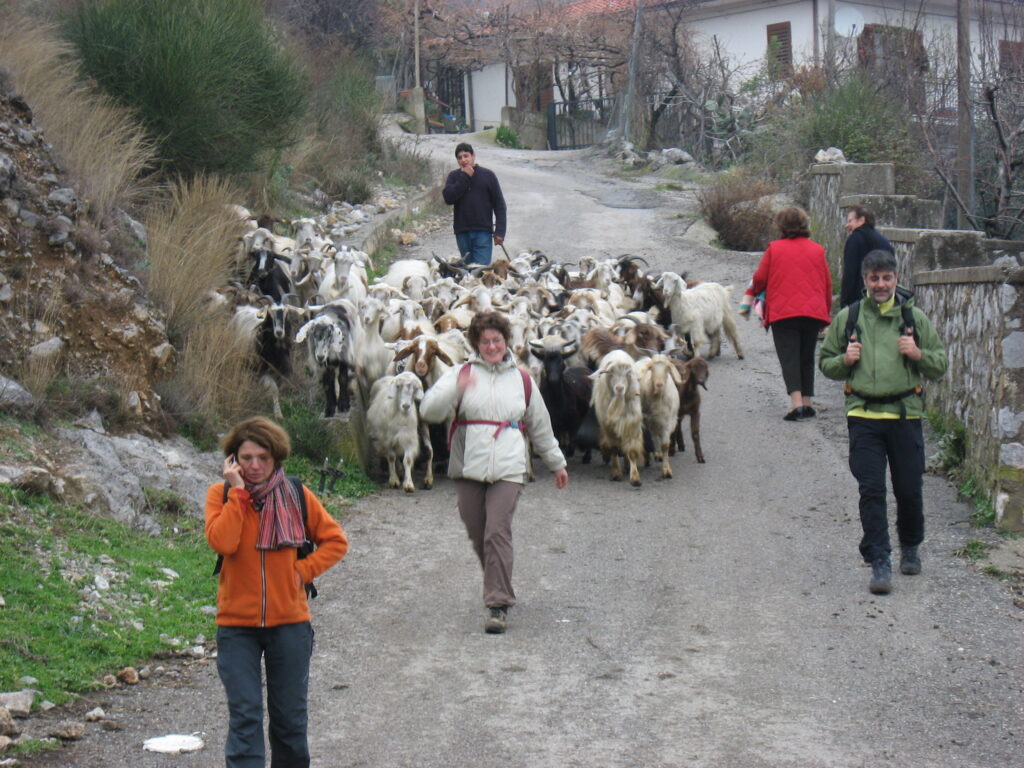 Attività in Agriturismo