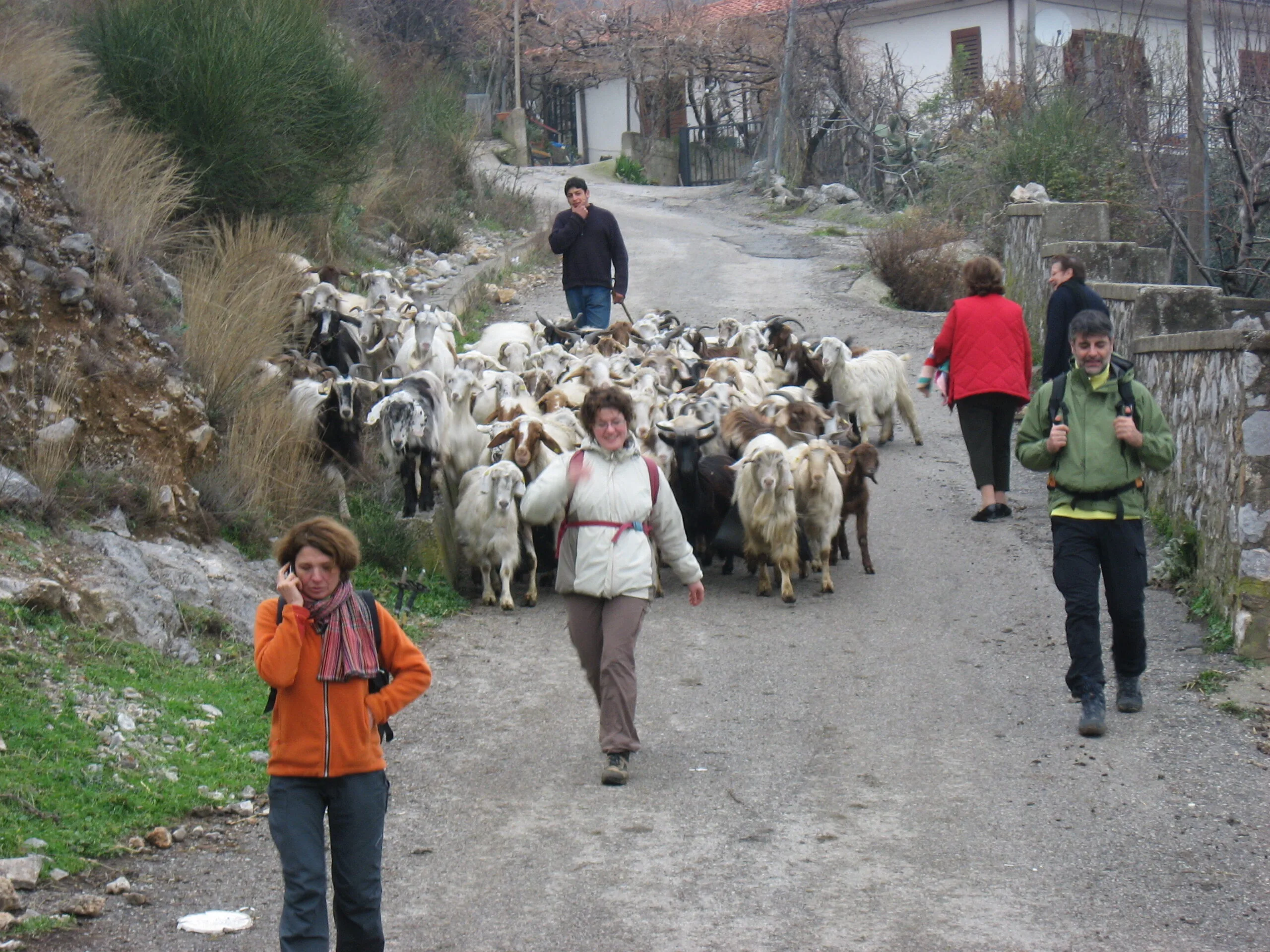 Attività in Agriturismo