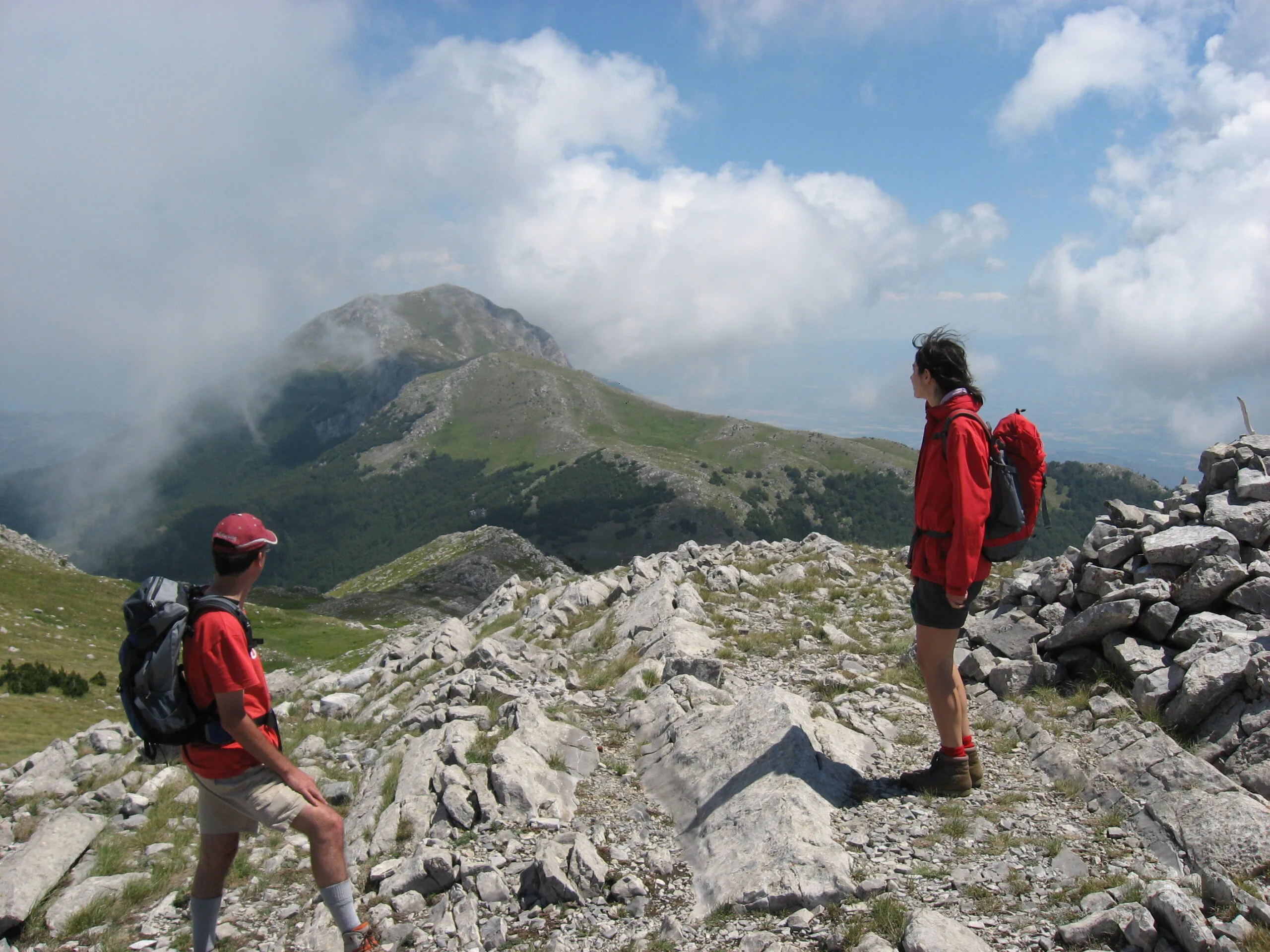 Programmi per agenzie