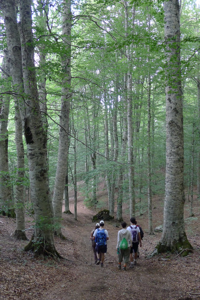 Traversata tra le faggete silenziose e le formazioni rocciose dei Cozzi dell’Anticristo. - Parco Nazionale del Pollino