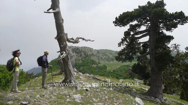 Serra di Crispo: il Giardino degli Dei