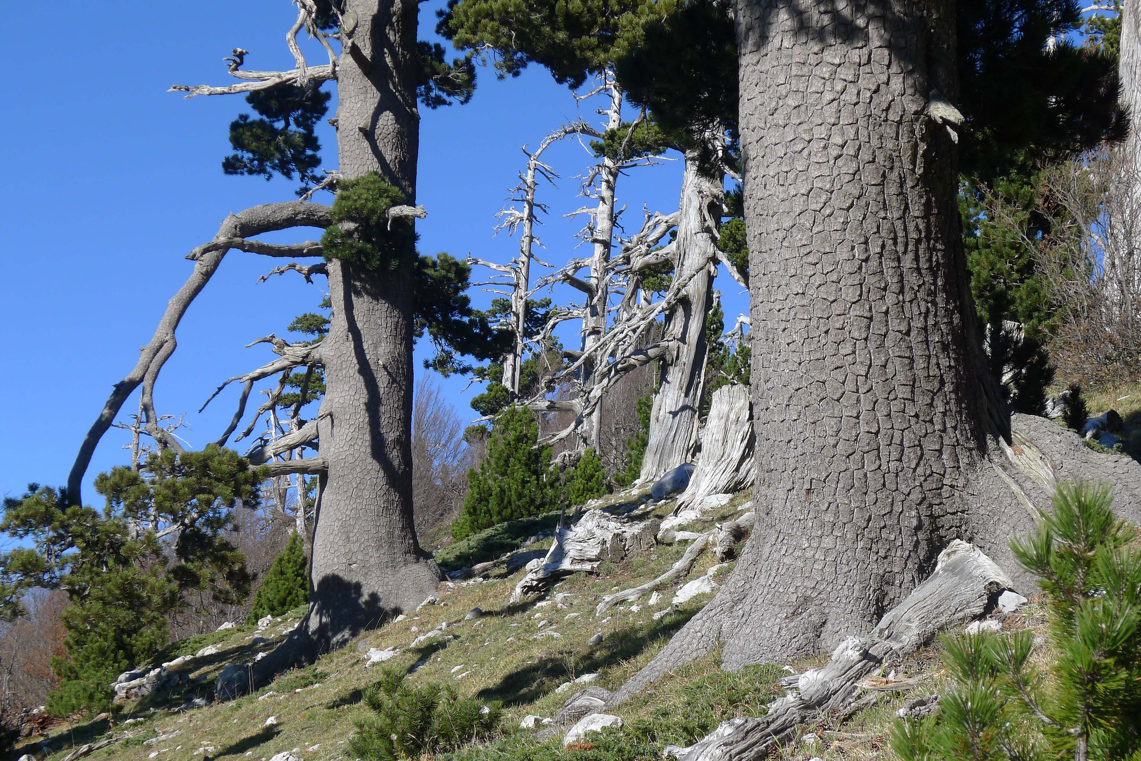 Serra di Crispo: il Giardino degli Dei