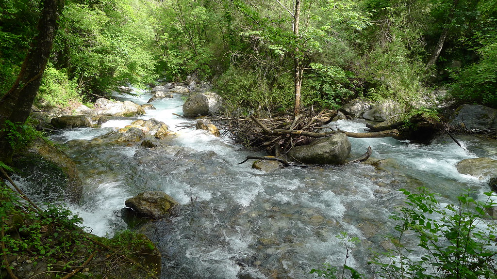 Escursione selvaggia risalendo la lussureggiante gola del Fiume Argentino. - Parco Nazionale del Pollino