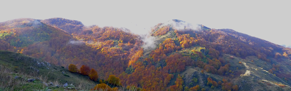 Facile escursione tra splendide faggete e praterie d’alta quota sul Monte Grasta. - Parco Nazionale del Pollino