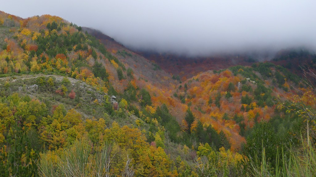 Passeggiata naturalistica alla scoperta dei pini loricati fuori dalle rotte classiche. - Parco Nazionale del Pollino