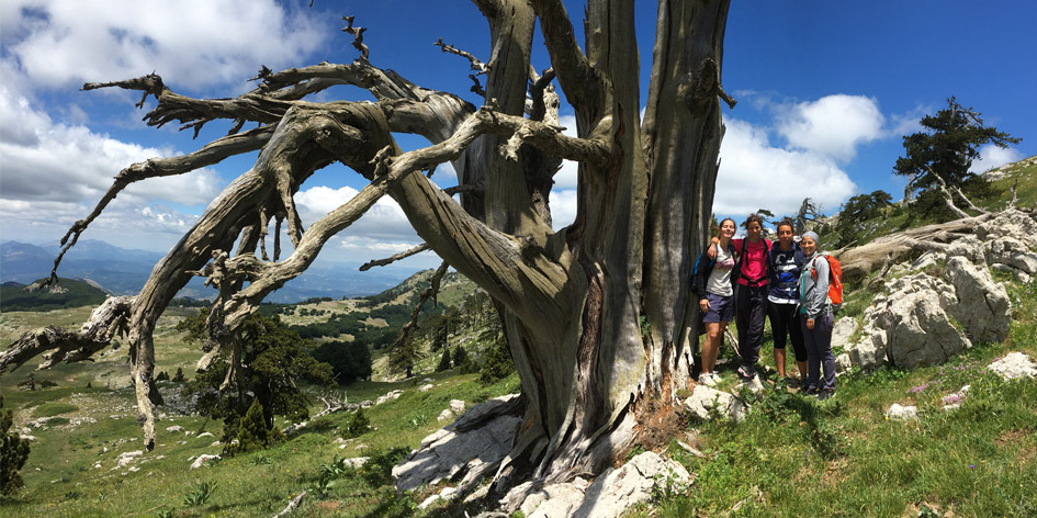 Viaggiare nel Pollino